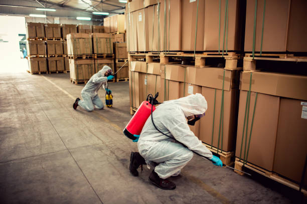 Best Pest Removal Services  in Seadrift, TX