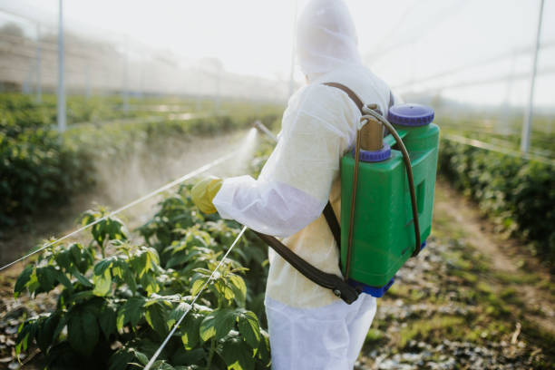 Best Pest Prevention Services  in Seadrift, TX